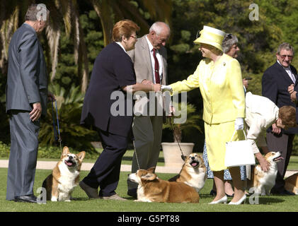 La reine Elizabeth II rencontre les propriétaires de corgi du club canin d'Adélaïde sur la pelouse de la Maison du gouvernement à Adélaïde, lors de sa visite en Australie, dans le cadre de sa visite du Jubilé Royal à l'étranger. * les propriétaires et les chiens sont (L à R) Ken Mansfield avec Rocky, Cheryl Sheppard avec Jimmy, Harry Painter avec Bobby et Corinne Webb (cintrage) avec Wade. Banque D'Images