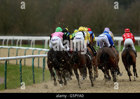 Les coureurs et les cavaliers prennent le premier virage pendant les lingfieldpark.co.uk enchères de handicap de vente sur la piste de toutes saisons de Lingfield Park Racecourse Banque D'Images