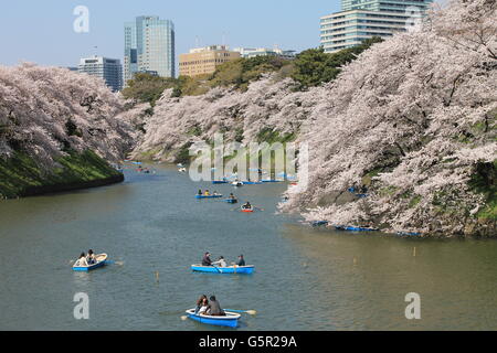 Les personnes bénéficiant d'une belle journée à Chidorigafuchi, Tokyo, Japon Banque D'Images