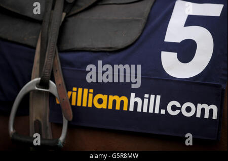 Courses hippiques - William Hill Winter Festival - deuxième jour - Hippodrome de Kempton Park. Détail de la marque William Hill sur un manteau de chevaux Banque D'Images