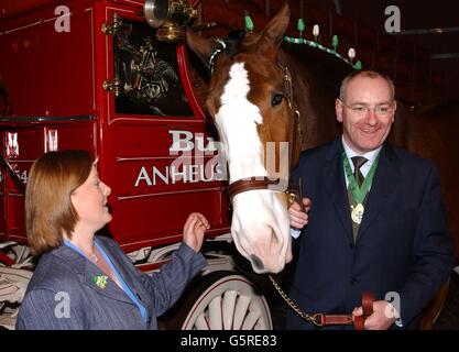 Le vice-premier ministre Mark Durkan et Jackie Durkan rencontrent Bruce, le Budweiser Clydsedale, lors de leur visite à St Louis, Missouri, lorsqu'ils ont visité la plus grande brasserie du monde située dans la ville du midwest.* ...Mark Durkan est l'invité d'honneur des célébrations de St Louis pour St Patrick auxquelles ont assisté plus de 300,000 personnes. Banque D'Images