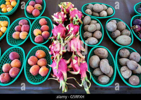 Miami Beach Florida,Lincoln Road,centre commercial piétonnier,marché agricole,production,stalle,stand,vente,fruit,dragon,pitaya,pêches,Manilkara zapota,sapodilla,FL1605 Banque D'Images