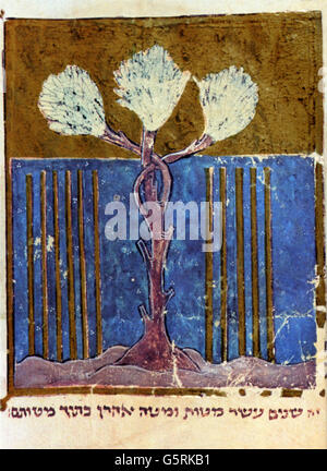 Géographie / voyage, Israël, Jérusalem, Mont des oliviers, miniature d'un manuscrit juif, France, fin du XIIIe siècle, impression couleur, arbre à huile, arbre, arbres, plantes, plantes, âges moyens, Orient, Moyen-Orient, Asie, historique, historique, médiéval, droits additionnels-Clearences-non disponible Banque D'Images