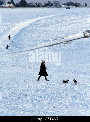 Un marcheur de chiens apprécie la neige sur les Epsom Downs à Surrey, alors que le temps d'hiver a continué à travers le Royaume-Uni. Banque D'Images