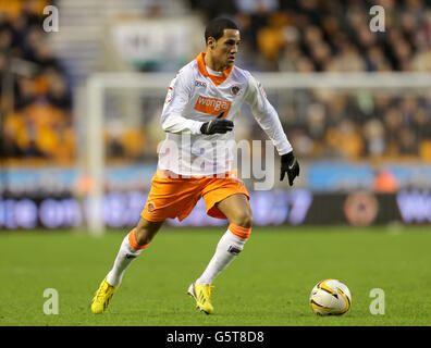 Football - npower football League Championship - Wolverhampton Wanderers v Blackpool - Molineux. Tom Ince, Blackpool Banque D'Images
