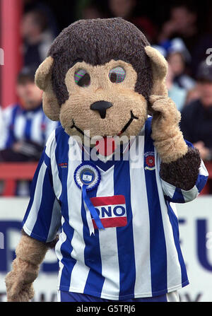 Stuart Drummond s'est habillé comme H'Angus, la mascotte du club de football de Hartlepool United - qui a été élu maire de la ville du nord-est aux élections du conseil local. La légende locale dit qu'un singe a été pendu dans la ville par crainte d'espionnage. * Drummond a quitté le candidat Travailliste en deuxième place et prend maintenant le poste, qui paie plus de 53,000-un-an. Banque D'Images