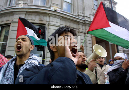 Des partisans palestiniens pro assistent à une manifestation dans le centre de Londres. Des milliers de manifestants juifs ont occupé Trafalgar Square aujourd'hui pour appeler à la paix au Moyen-Orient, mais le rassemblement, le plus important jamais organisé dans la capitale par la communauté juive * a vu des manifestants faire face à leurs homologues musulmans qui ont organisé une contre-manifestation contre l'événement. Banque D'Images