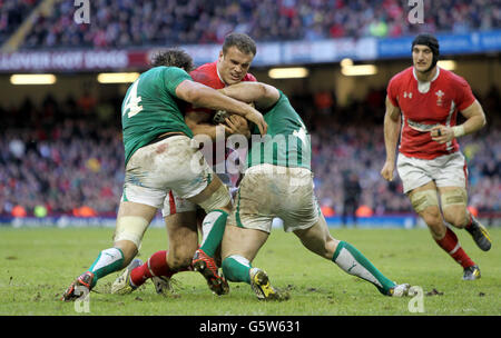 Rugby Union - RBS 6 Nations Championship 2013 - Pays de Galles v Irlande - Millennium Stadium Banque D'Images