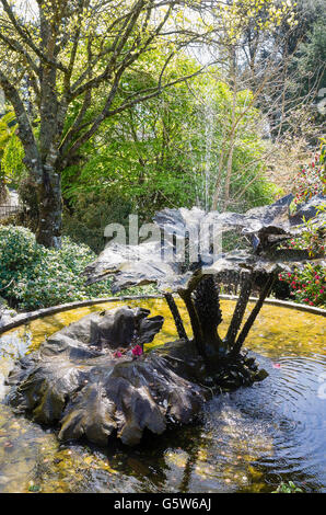 Sculpture de Gunnera par Ian Gill sculpture formant une pièce d'eau dans les jardins de Trebah Cornwall UK Banque D'Images