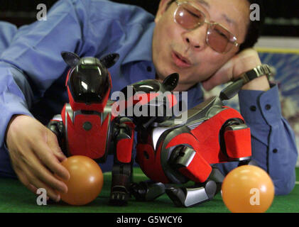 Robot World Cup Soccer Banque D'Images