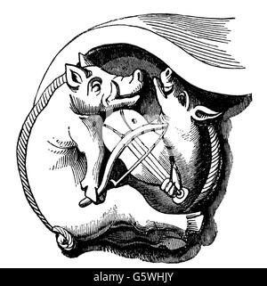 Religion, ecclésiastique, moine, caricature sur la vie amusante moines, sculpture, chœur stalle dans la cathédrale de Winchester, 13ème siècle, gravure en bois, 19ème siècle, animal, animaux, animaux, animal, porc, porc, porcs, cynes, porc, porc, porc, cochons, cynes, satire, musique, instrument de musique, rebec, Angleterre, Moyen-âge, clergé médiéval-historique, Clearences, non disponible, religieux Banque D'Images