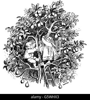 Littérature,conte,Grimm Brothers,Hansel et Gretel,les enfants secouant les poires,dessin de Maurice by Schwind(1804 - 1871),19e siècle,19e siècle,graphique,graphiques,contes de fées pour les enfants,conte de maison,conte de fées,conte de fées,conte de fées,contes de fées,contes de fées,demi-siècle,filles,filles,filles,filles,filles,filles,filles,filles,filles,filles,filles,filles,filles,filles,filles,filles,filles,filles,filles,filles,filles,filles,filles,filles,filles,filles,filles,filles,filles,filles,filles,filles,filles,filles,filles,filles,filles,filles,filles,filles,filles,filles,filles,filles,filles,filles,filles,filles,filles,filles,filles,filles, Banque D'Images