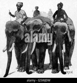 zoologie / animaux, éléphant, éléphant indien (Elepha maximus indicus), éléphants formés pour le travail en Inde, gravure de bois, 'Harper's Weekly', 1892, droits additionnels-Clearences-non disponible Banque D'Images
