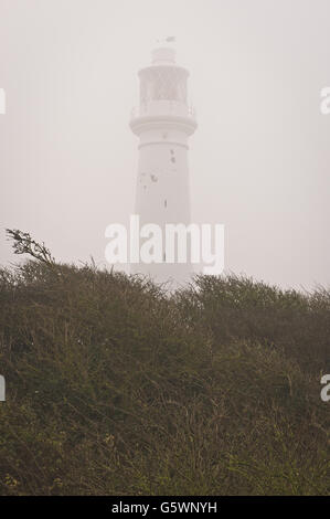 Une vue générale du phare de Flat Holm, qui s'élève à 30 m (98 pi) de haut et à 50 m (160 pi) au-dessus de la moyenne haute eau sur l'île de Flat Holm dans le canal de Bristol.Sa lampe de 100 watts clignote en blanc et rouge toutes les dix secondes, avec une portée allant jusqu'à 56 km (30 nmi) Flat Holm (Welsh :Ynys Echni) est une île calcaire dans le canal de Bristol à environ 6 km (4 miles) de Lavernock point dans la vallée de Glamourgan, mais dans la ville et le comté de Cardiff.Il inclut le point le plus au sud du pays de Galles.L'île a une longue histoire d'occupation, datant au moins des périodes anglo-saxonnes et viking. Banque D'Images