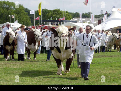 Jack Henry dirige l'équipe gagnante de Hereford qui a remporté le Burke Trophy au Royal Show, Stoneleigh, Warwickshire. Banque D'Images