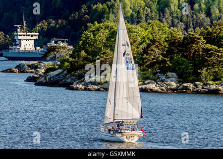 Yachts à voile dans le fjord d'Oslo Norvège Banque D'Images