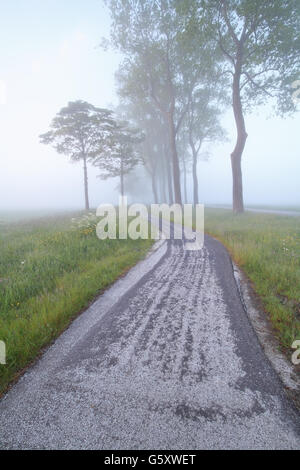 Piste cyclable entre les arbres dans un épais brouillard, Pays-Bas Banque D'Images