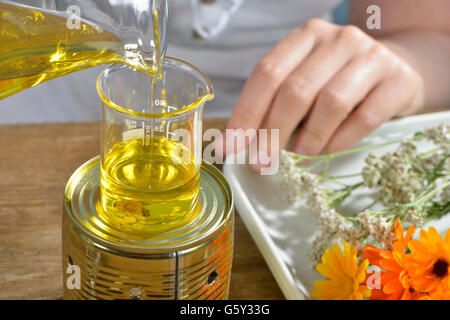 Millefeuille de production et de l'onguent calendula / (Calendula officinalis), (Achillea millefolium) Banque D'Images