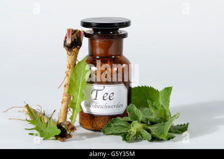 Plainte bilieux, thé blanc, ballote ballote commun commun, racine de pissenlit, menthe poivrée (Marrubium vulgare /), (Taraxacum officinale), (Mentha piperita) Banque D'Images