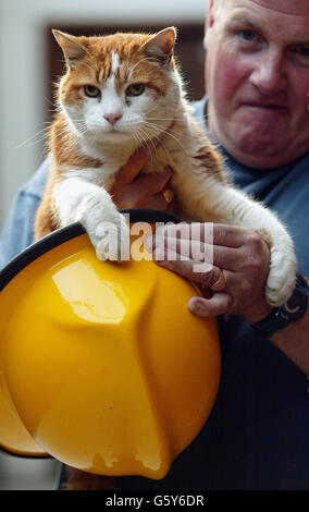 Pompier Pete Dowling avec station cat Angus Banque D'Images
