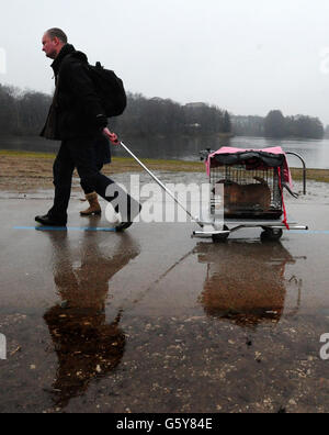 Un chien est tiré le long par son propriétaire le premier jour de Crufts 2013 au NEC, Birmingham. Banque D'Images