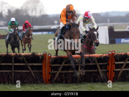 Horse Racing - Sauts Final - Hippodrome de Warwick Banque D'Images