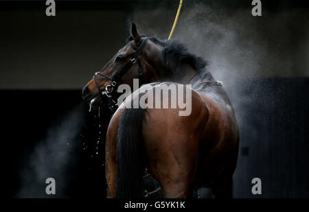 Horse Racing - Sauts Final - Hippodrome de Warwick Banque D'Images