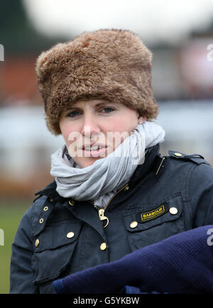 Horse Racing - Sauts Final - Hippodrome de Warwick Banque D'Images