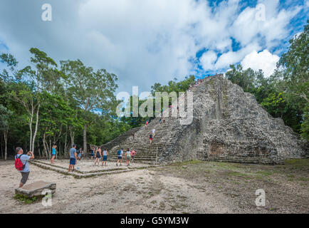 COBA, MEXIQUE - 13 novembre, 2013 : Groupe de touristes escalade Nohoch Mul pyramide de Coba, Mexique Banque D'Images