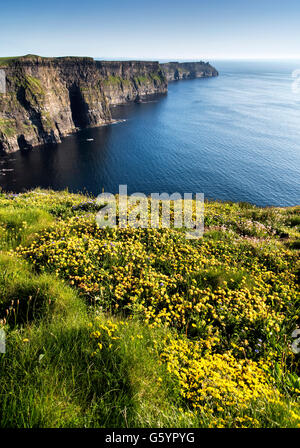 Les falaises de Moher Clare Irlande façon sauvage de l'Atlantique Banque D'Images