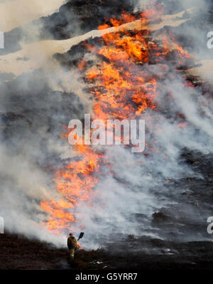 Un garde-chasse vérifie les flammes car la bruyère est gardée jeune et rangée par combustion contrôlée ou « essuyage » effectué entre septembre et avril chaque année, sur le domaine Invercauld près de Braemar. Banque D'Images