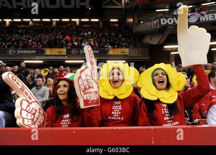 Rugby Union - RBS 6 Nations Championship 2013 - Pays de Galles v Angleterre - Millennium Stadium Banque D'Images