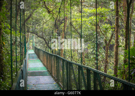 Le pont suspendu dans la forêt tropicale / Costa rica / Parc National Monteverde Banque D'Images