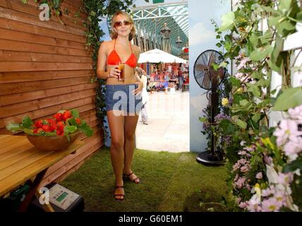 Jennifer Walsh, âgée de 21 ans, de Putney à Londres, illustre l'ambiance du « Summer in a Box » de Pimm au Covent Garden à Londres. La boîte géante - créée par les scientifiques pour transformer le cerveau en une ambiance lumineuse et estivale. * ... en contenant les odeurs, les vues et les sons associés à l'été - a été commandé par Pimm pour trouver les cinq sens principaux le cerveau associés à l'été - ceux-ci inclus l'odeur de l'herbe fraîchement mown, le ciel bleu et le son de Birdsong. Banque D'Images