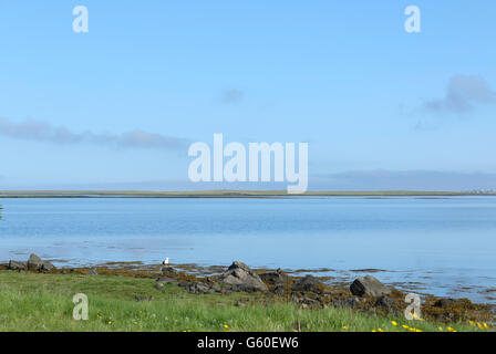 Une vue sur l'océan de Gardabaer, avec renoncules avec Reykjavik et Kopavogur dans distance-1 Banque D'Images