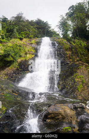 Los Prieto Falls, forêt nationale de El Yunque, au nord de Naguabo, Puerto Rico. Banque D'Images