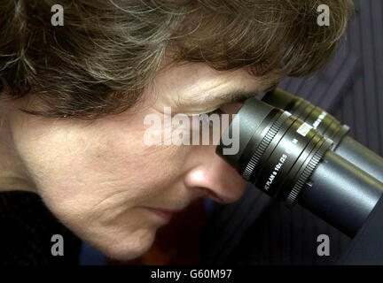 Estelle Morris, secrétaire à l'éducation, examine l'oculaire d'un microscope multiphotonique, au nouveau Centre de dynamique cellulaire et moléculaire, au University College de Londres. *avec ses collègues ministériels Paul Boetang et Patricia Hewitt, ils examinaient les résultats du Fonds mixte sur l'infrastructure du Fonds fiduciaire du Wellcome du gouvernement, qui fait partie de la Stratégie scientifique du gouvernement. Banque D'Images