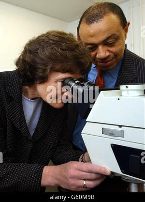 Estelle Morris, secrétaire à l'éducation, examine l'oculaire d'un microscope multiphotonique, avec Paul Boetang, collègue ministériel du Trésor, au nouveau Centre de dynamique cellulaire et moléculaire, à l'University College de Londres.* avec Patricia Hewitt, ils examinaient les résultats du Fonds mixte sur l'infrastructure du Fonds fiduciaire du Wellcome du gouvernement, qui fait partie de la Stratégie scientifique du gouvernement.Photo : Toby Melville/PA/POOL Banque D'Images