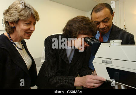 Estelle Morris, secrétaire à l'éducation, examine l'oculaire d'un microscope multiphotonique, au nouveau Centre de dynamique cellulaire et moléculaire, au University College de Londres. * de concert avec des collègues ministériels, Paul Boetang et Patrcia Hewitt, ils ont vu les résultats du Fonds conjoint sur l'infrastructure du Fonds de fiducie Wellcome du gouvernement, qui fait partie de la Stratégie scientifique du gouvernement. Banque D'Images