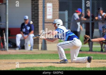 La pâte de la tentative de se mettre un sacrifice bunt pendant un match de fin de saison. USA. Banque D'Images