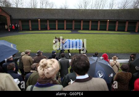 Courses hippiques - 2013 Cheltenham Festival - quatrième jour - Cheltenham Racecourse.Les Racegoers voient les chevaux dans le défilé anneau sur Cheltenham Gold Cup Day, pendant le Cheltenham Festival. Banque D'Images