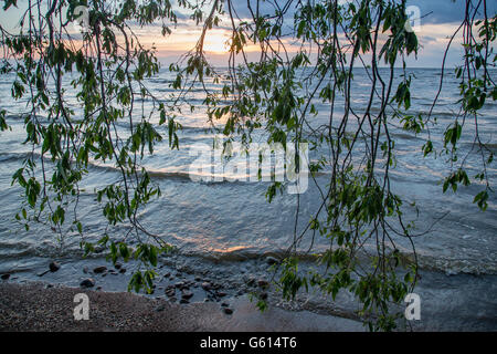 Lac Peipus au lever du soleil, est de l'Estonie Banque D'Images