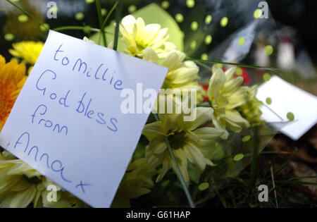 Fleurs laissées à Yateley, Hampshire. Les restes humains trouvés dans les bois à proximité sont presque certainement ceux de l'école manquante Amanda Dowler, a déclaré la police. L'homme de 13 ans, également connu sous le nom de Milly, a été identifié à l'aide de dossiers dentaires après la découverte du corps. Banque D'Images