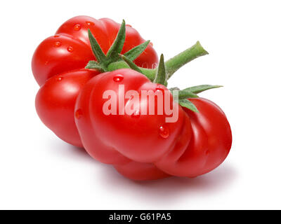 Heirloom mûrs tomates sur vigne, Togorific variété (Solanum lycopersicum). Chemins de détourage pour les tomates et d'infini,ombre Banque D'Images