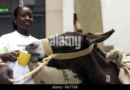 Francesca Arhin - protestation Café Banque D'Images