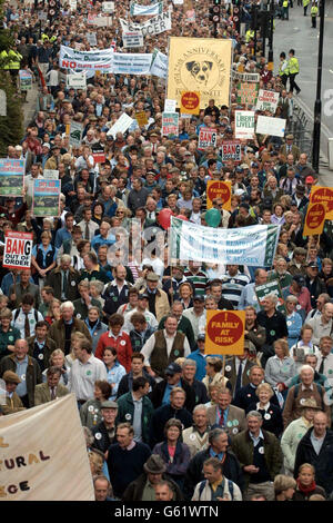 La marche pour la liberté et les moyens d'existence, organisée par Countryside Alliance, traverse le centre de Londres pour montrer son opposition à la proposition d'interdiction de la chasse au renard et de la chasse avec les chiens. *jusqu'à 300,000 personnes sont attendues pour descendre à Londres pour participer à la marche qui se dirige vers Whitehall. Banque D'Images