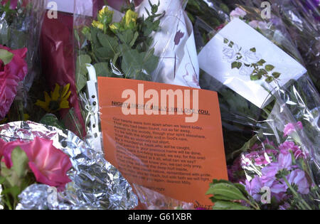 Les hommages floraux se trouvent à l'extérieur de l'entrée de l'école Heathside, Weybridge, où Milly Dowler était élève. Les camarades de classe de la lycéenne Milly devaient revenir à leurs leçons pour la première fois aujourd'hui, sachant qu'elle a été assassinée. Vendredi, les enfants de l'école Heathside, Weybridge, ont été mis en hommage à l'homme de 13 ans lors d'une assemblée spéciale organisée pour marquer les six mois où elle avait été absente. Mais au cours de la journée, il est devenu de plus en plus probable que les restes humains découverts dans les bois dans un endroit isolé dans le Hampshire étaient des hers, jusqu'à ce soir-là, après que tous les enfants ont eu Banque D'Images