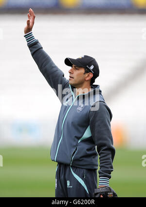 Cricket - LV= Championnat du comté - Division un - jour un - Surrey v Somerset - Kia Oval. Vikram Solanki, Surrey Banque D'Images