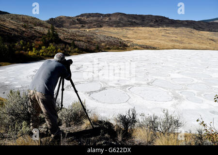 Senior adult man photographing un scenic en lac tacheté près d'Osoyoos, British Colulmbia, Canada dans la vallée de l'Okanagan. Banque D'Images