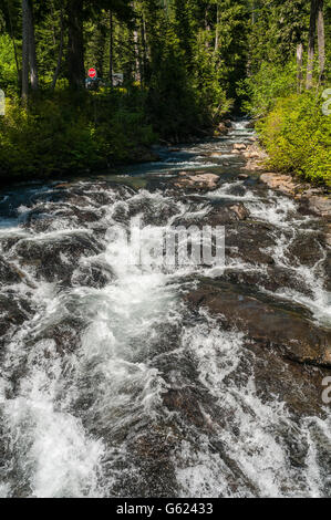 Au fil de l'eau blanc rapides sur sa façon de Narada tombe dans Mount Rainier National Park dans l'ouest de l'État de Washington, USA. Banque D'Images